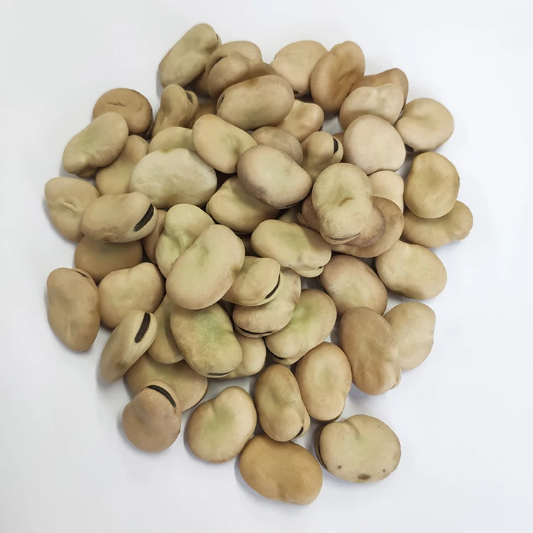 Chinese broad beans fava beans 40-50 beans/100g Qinghai origin
