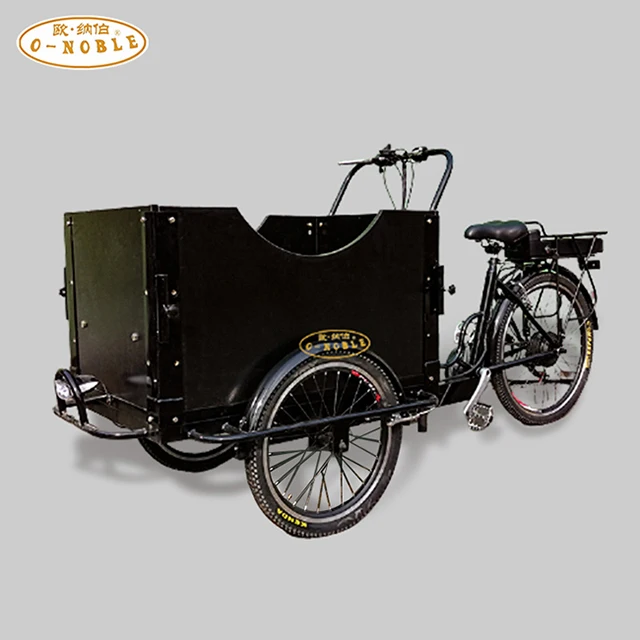 Cargo Bike China Family 3 wheel electric Cargo Bike 350W Motor