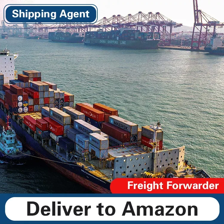 China sea Shipping Cheap Ocean Freight Professional shipping Forwarder From China to USA Payment agent