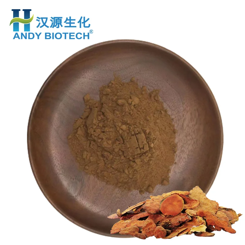 New Batch 20% Polysaccharides Powder Antrodia Cinnamomea Extract Antrodia Camphorata Mushroom Extract