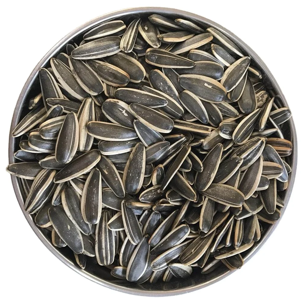 sunflower seeds with factory price white stripe sunflower seeds