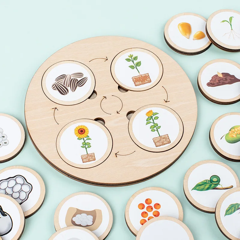 Wooden children Early Education Biological Evolution Life Circle Board  Montessori educational toys for kids learning 2023