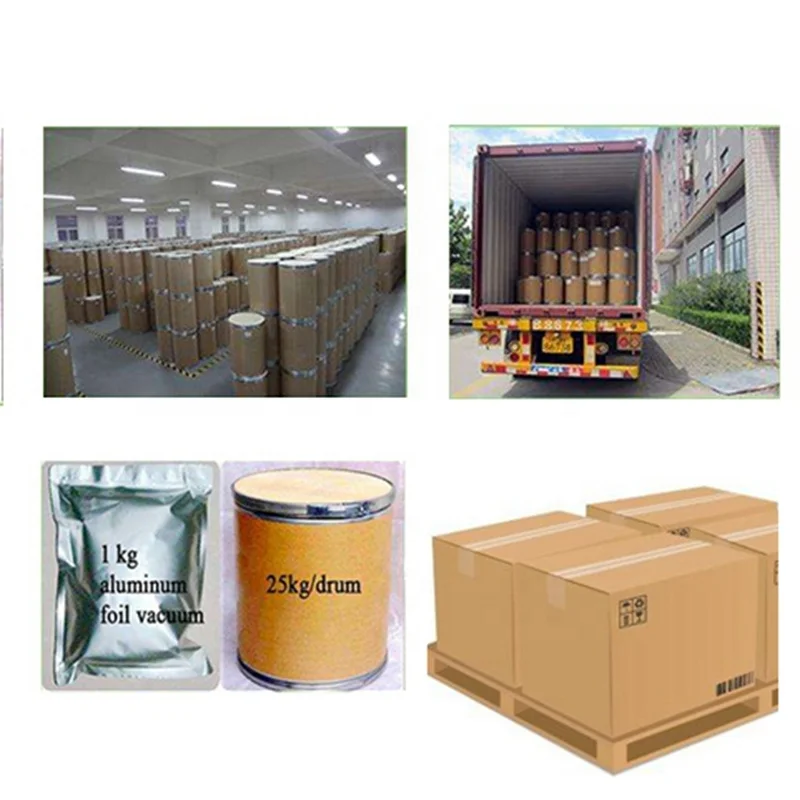 Bulk Wholesale Ficus Carica Fig Extract Freeze Dried Fig Fruit Powder