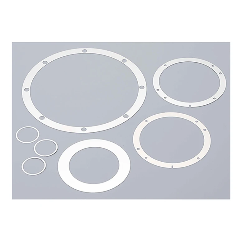 Stainless Steel Various Thickness Precision Etched Thin Shims