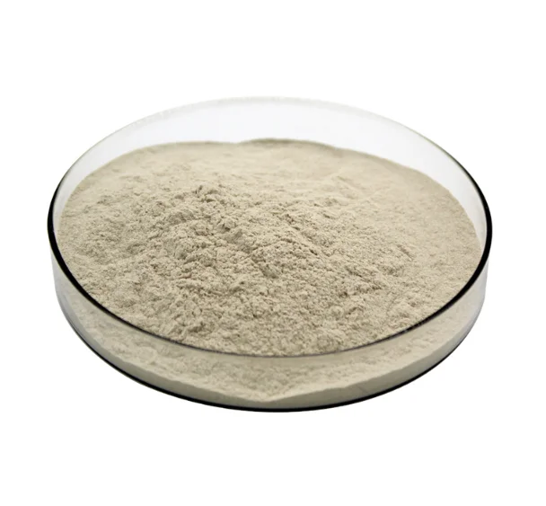 Wholesale High Quality Food Grade Probiotics Bacillus Licheniformis Powder