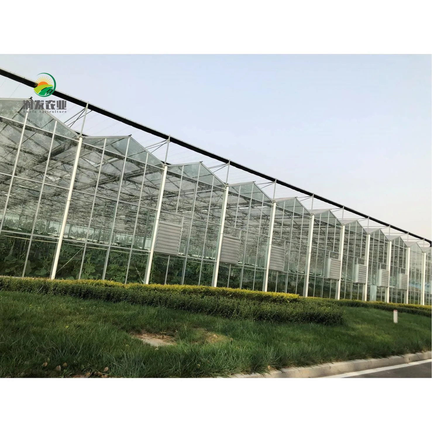Smart Glass Greenhouse For Soilless Culture System Greenhouses Wholesale