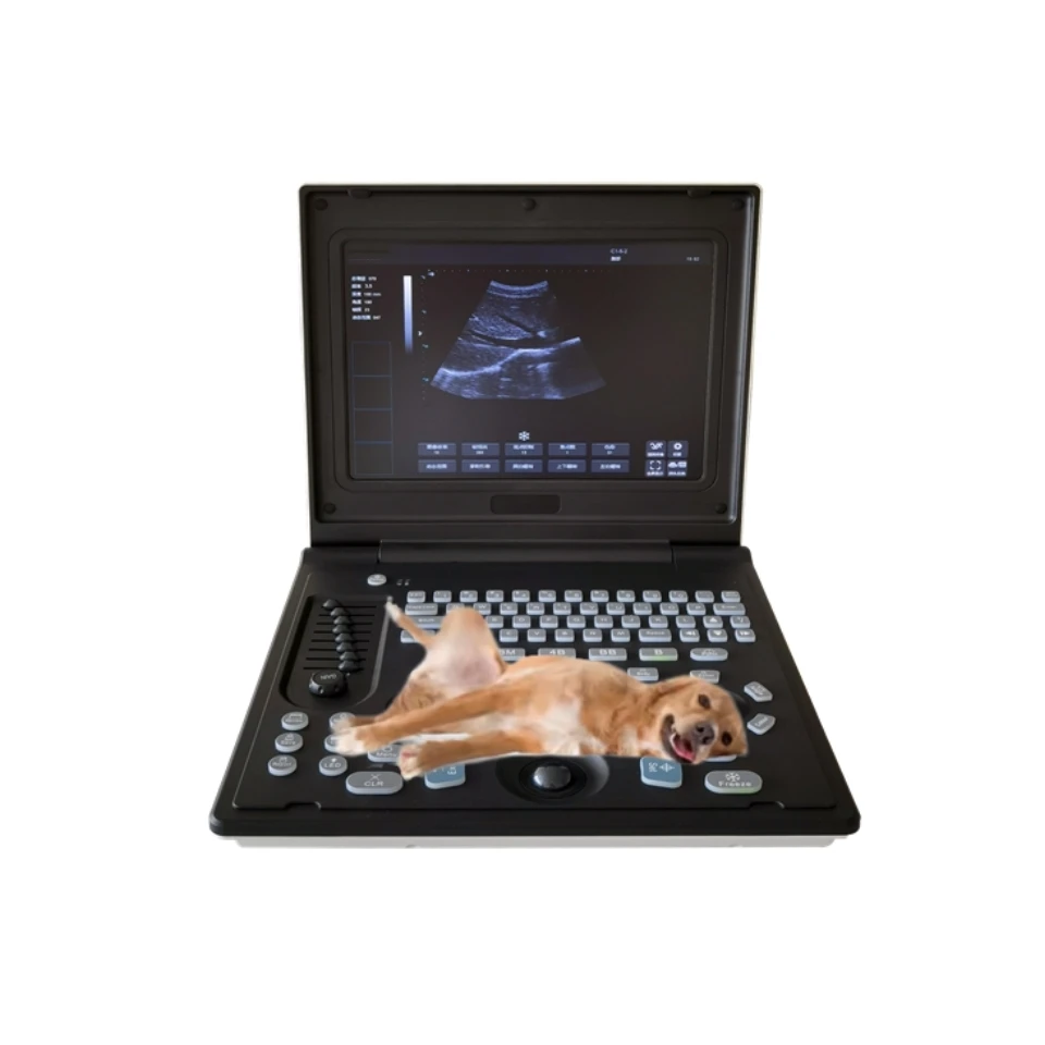 High Performance Portable Colour Full Digital CE ISO Approved Medical Diagnostic 3d Ultrasound Machine
