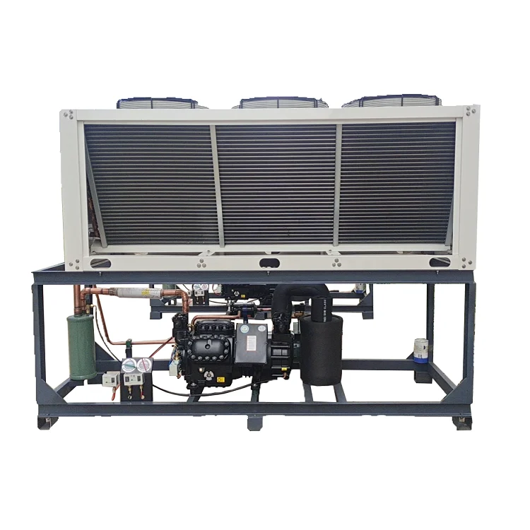 Поршневой компрессор Zhongsheng Tianrui с воздушным охлаждением типа H 3hp, компрессор для холодной комнаты Copeland