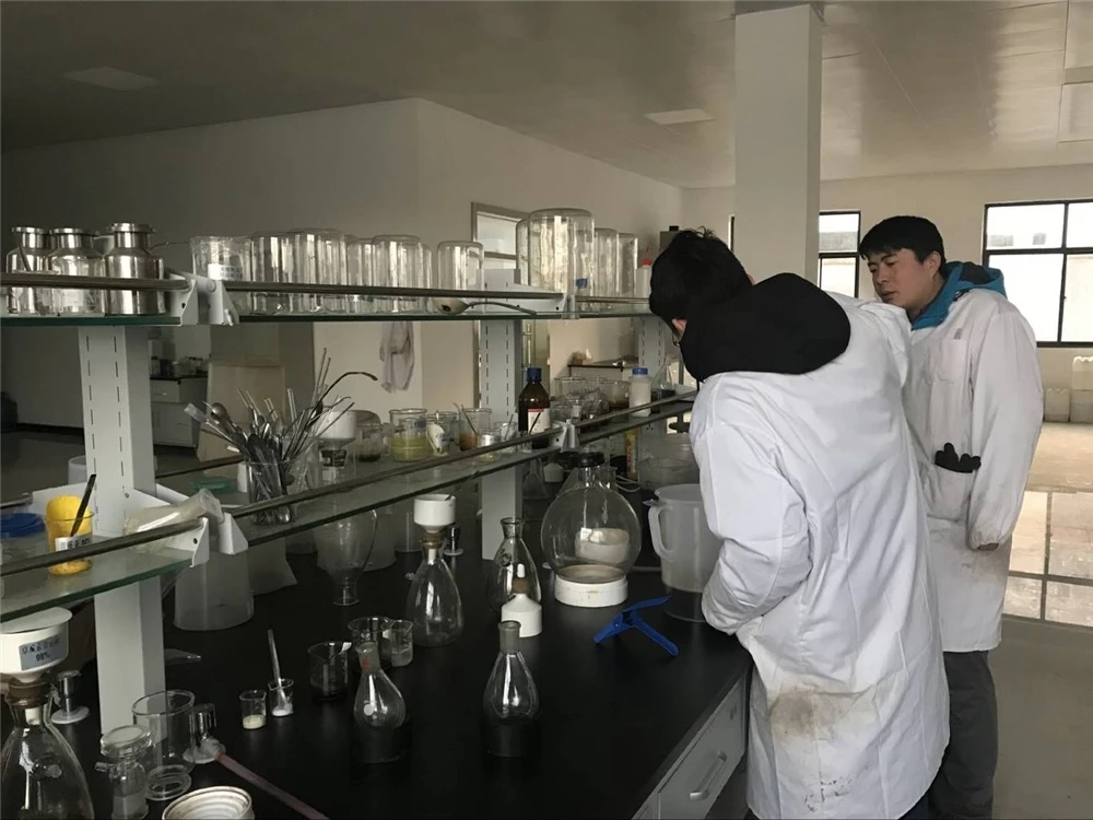 
9037-22-3 food additives corn source amylopectin 