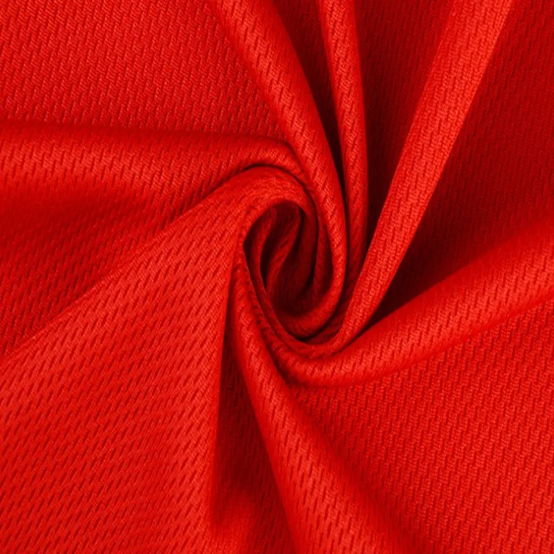 Close mesh 100%polyester birdseye fabric