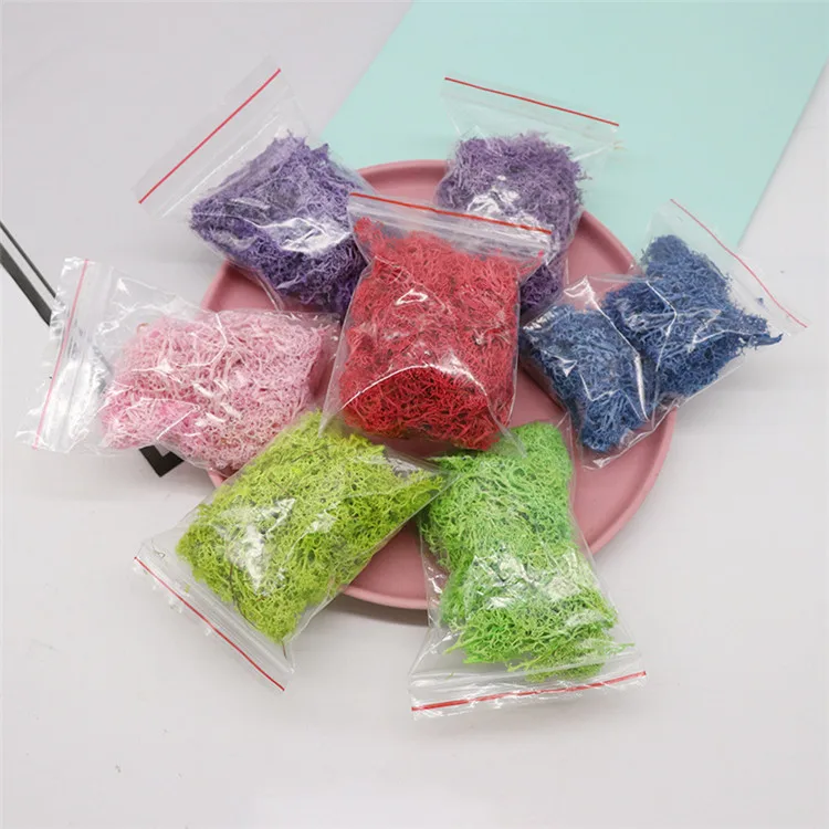 Wholesale Stabilized Preserved Moss and Lichens Long Lasting Green Plants for Home Wall Art Terrarium and Wedding Decoration