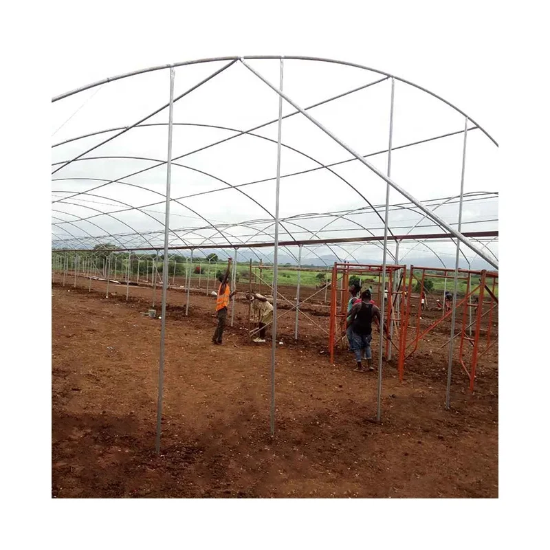 Сельскохозяйственные теплицы AGROTIME многопролетная теплица с холодной рамой строительный зеленый дом на