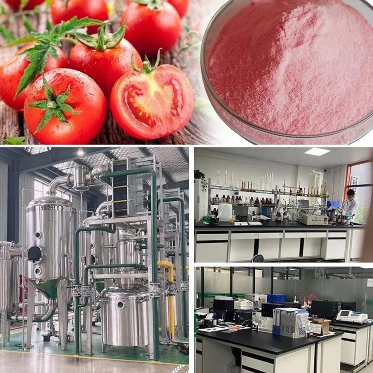 100% натуральный томатный экстракт томатов 99% 5:1 ликопин масло/капсулы HPLC