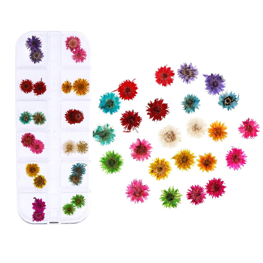 High Quality Various Combination Packages Natural Dried Flowers Pressed Flowers for Dried Flowers Nail Art