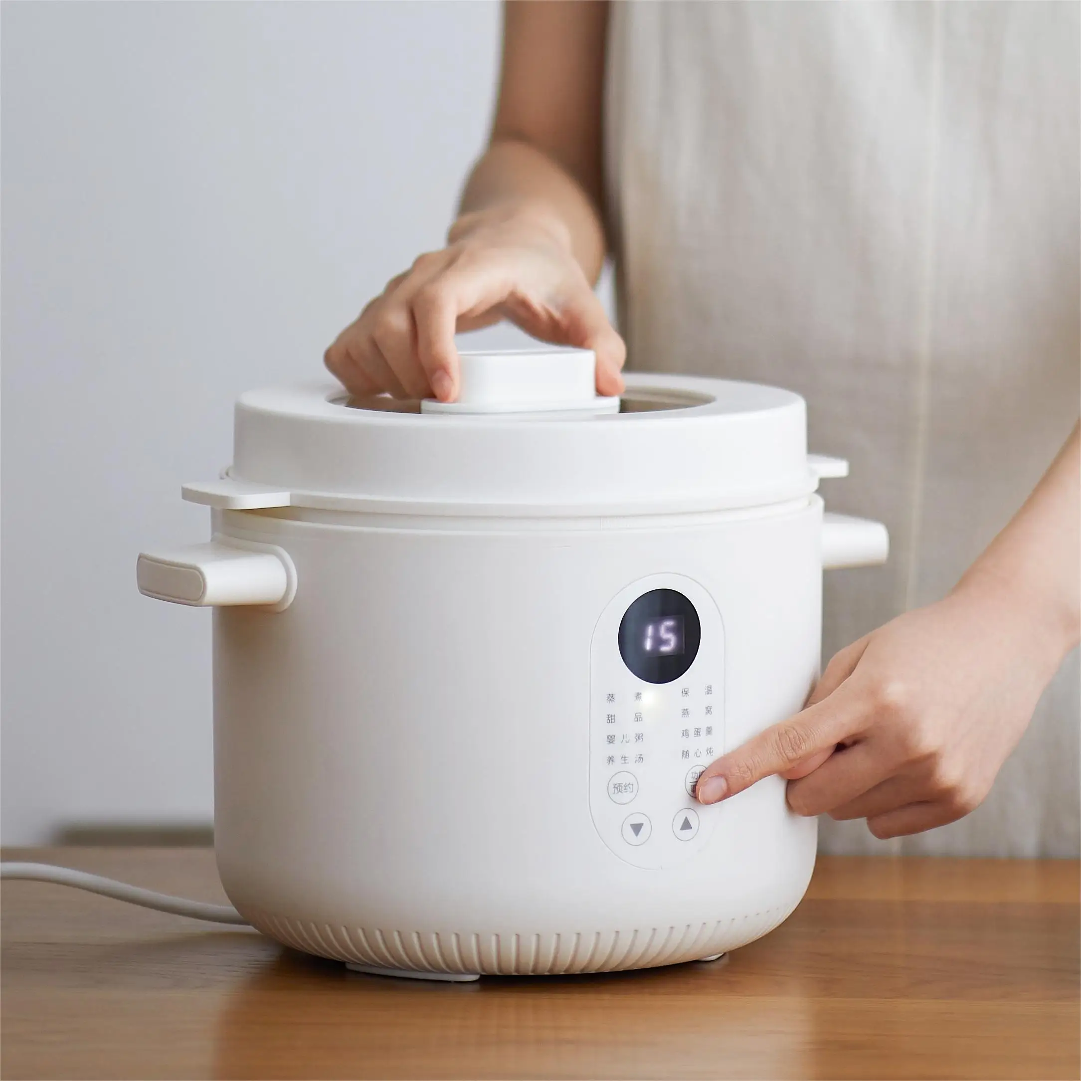 New style Ceramic Liner Stew Pot Multi-function Cooker 2.5L  Smart Slow Cooker