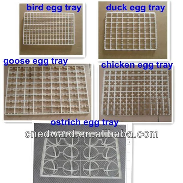Hhd Industrial 528 Eggs Incubator Ew-8 Accessories Automatic Incubator For Tortoises