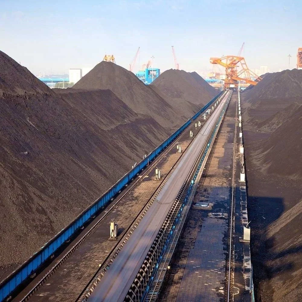 Cement Industry Troughing Idler Belt Conveyor For Sawdust Conveying