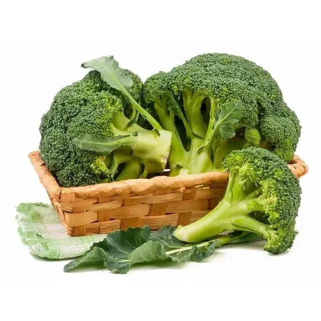 High Quality Fresh Cheap Prices Organic Green Broccoli For Sale