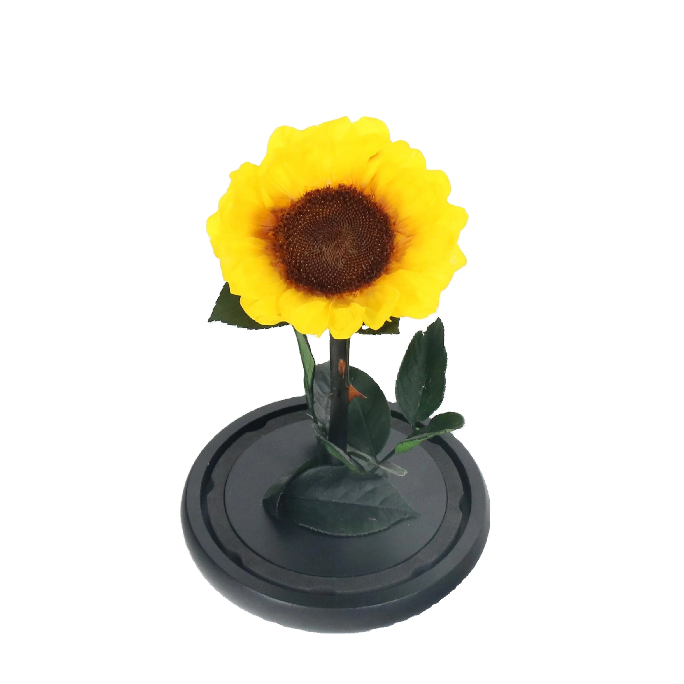 Hot Selling INS Popular Gift Preserved Flower Eternity Sunflower In Glass Dome