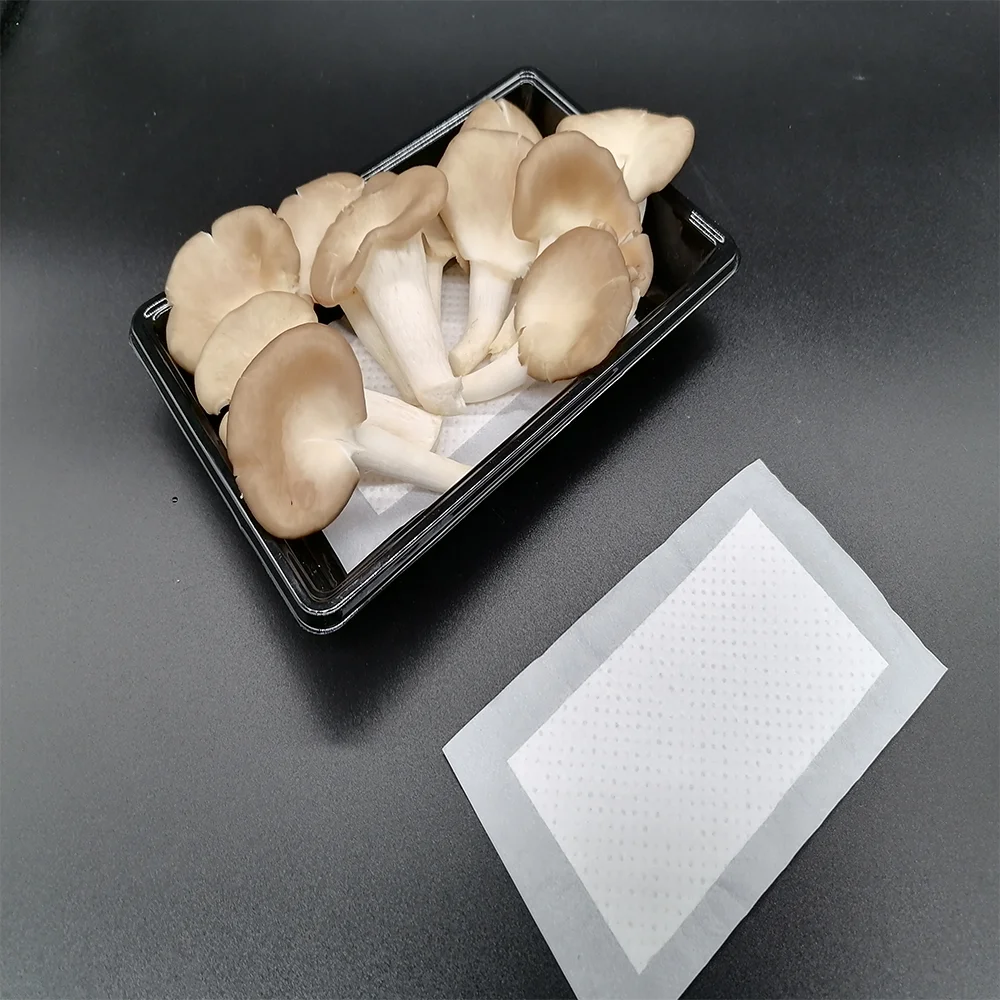 
Disposable Food Pack Moisture Absorb Fish Poultry Soaker High Quality Absorption Meat Absorbent Pad For Packaging Tray 