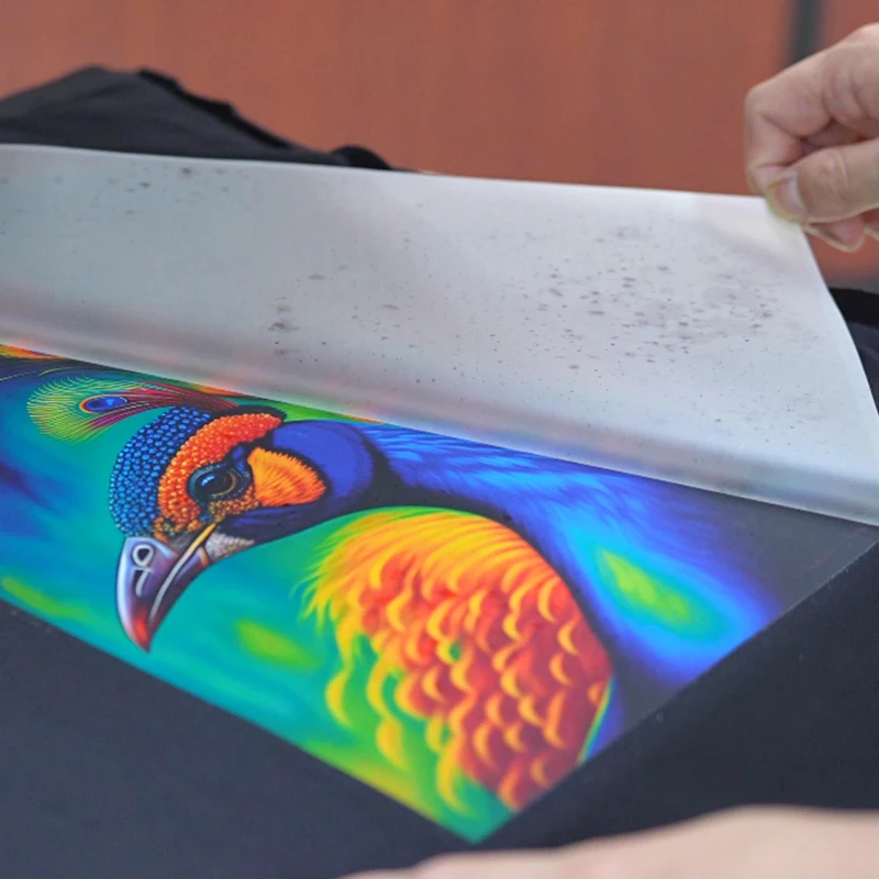 Low Price Flim Transfer Film for T shirt DTF Printing Frosted A3 Sheet DTF Film for T shirt DTF Printing