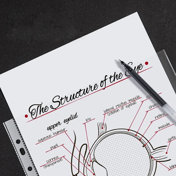 School Office Supplies 11 Holes Sheet Protector Loose Sheet Paper Protector A4 8.5x11 Inch Punch Pockets