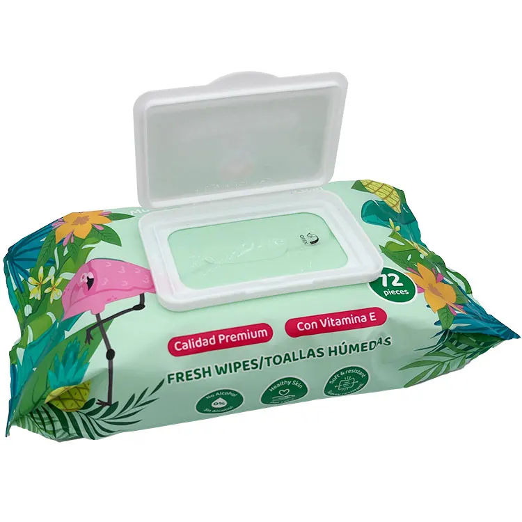 Custom Logo Biodegradable Water Wipes For Women Adult Toilet Flushable Hygiene Cleansing Wet Wipes