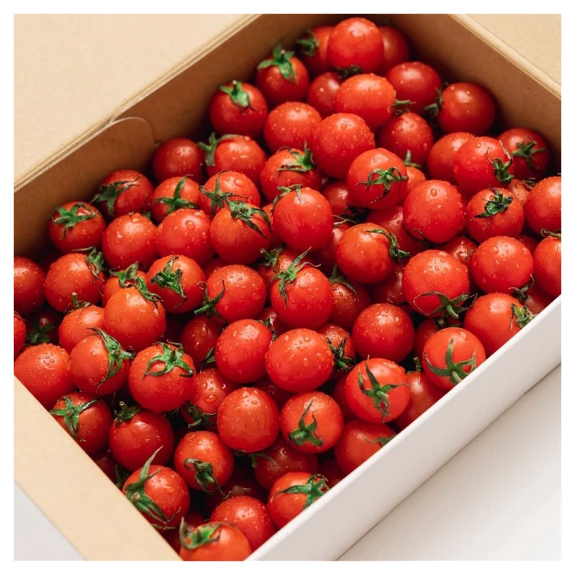 Tasty food fresh tomatoes red production greenhouse for sale