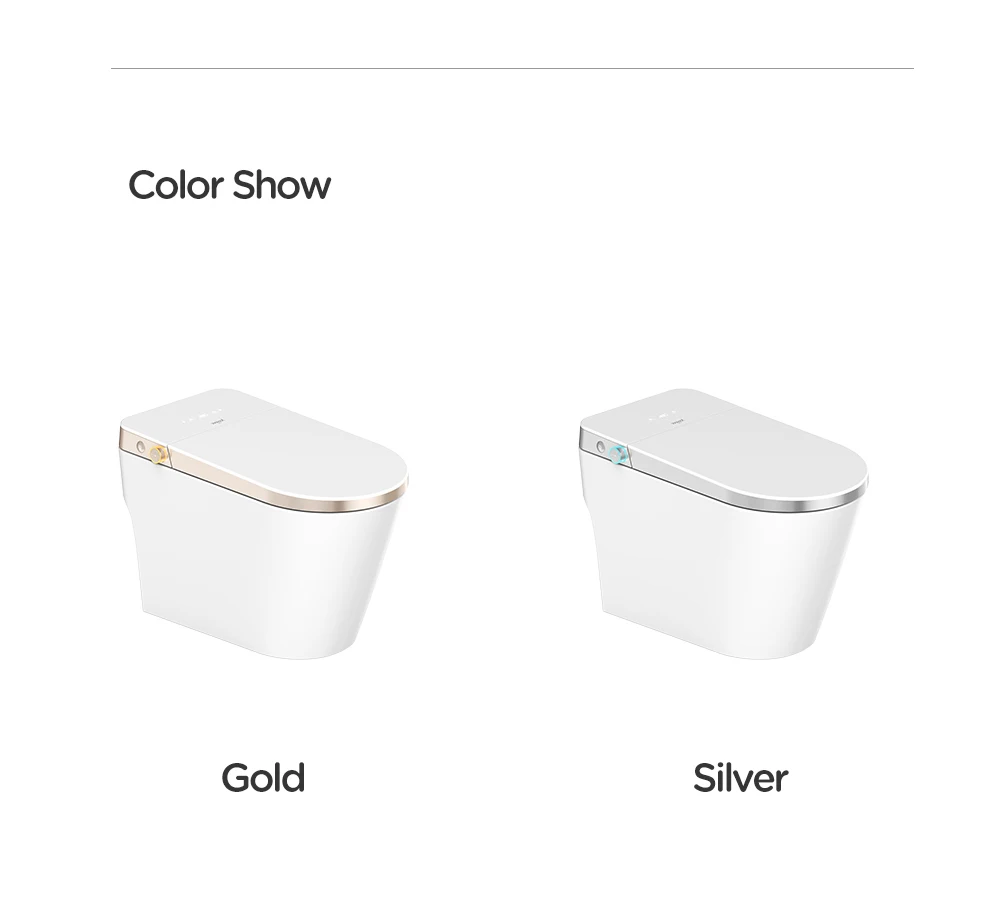 AXENT MINT Hot Sale Automatic Sanitary Ware Items Ceramic Bowl Black Bathroom Wc Intelligent Smart Bidet Toilet