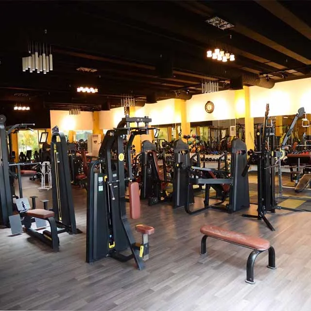 Ganas China Manufacturer Professional Commercial Complete Indoor Gym Club Hotel Fitness Machines Commercial Gym Equipment