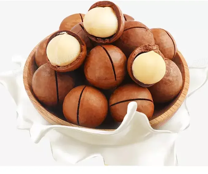 Good price good quality macadamia raw nuts price per kg