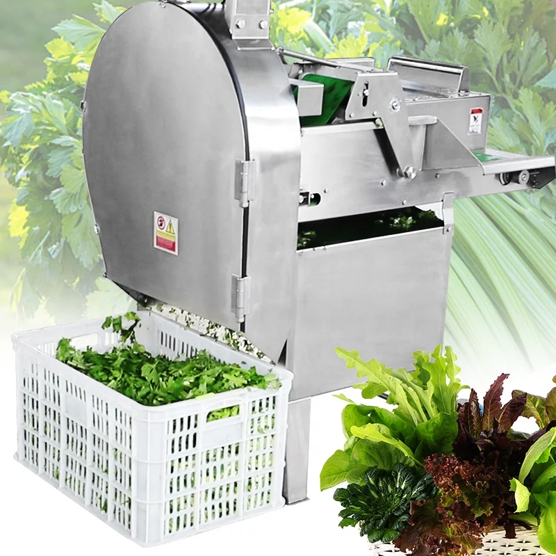 VEGETABLE CUTTER stainless steel vegetable cutting machine