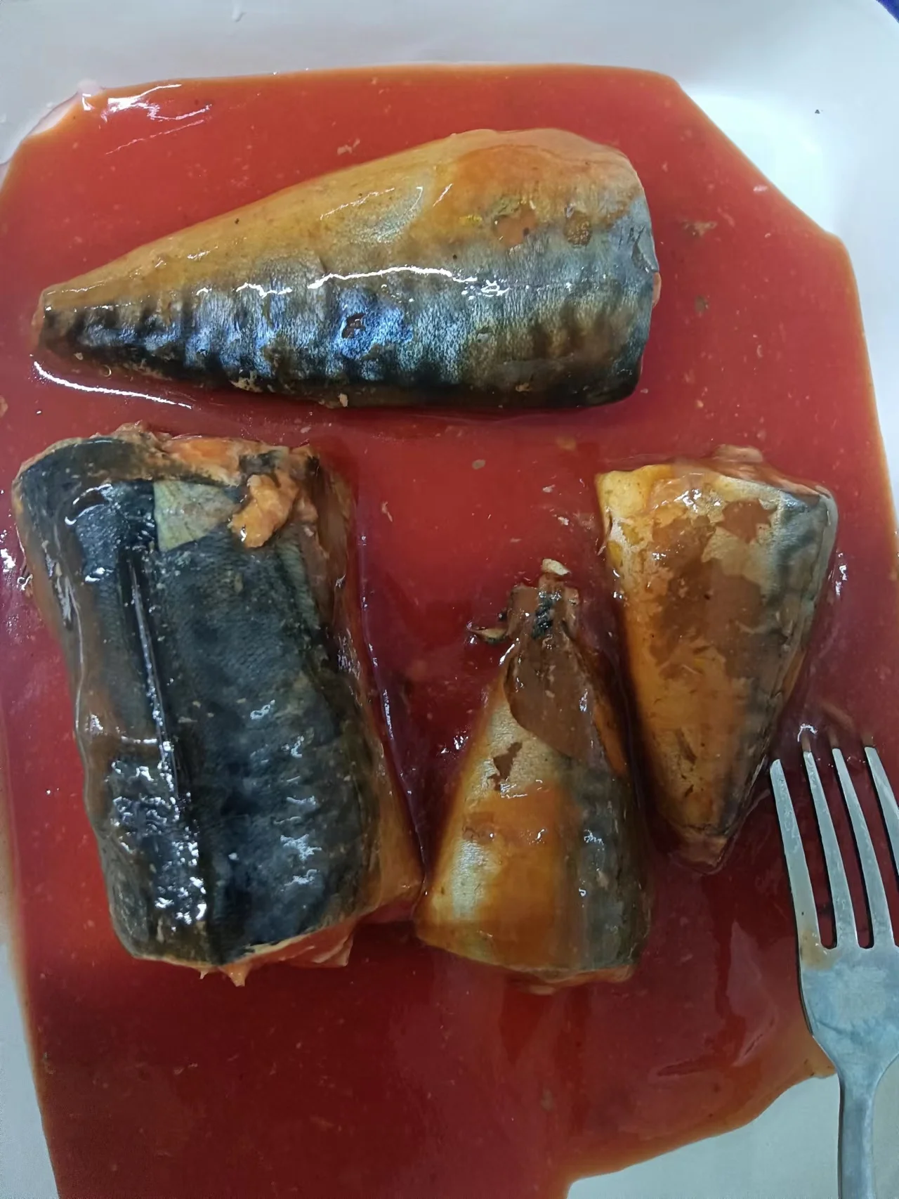 Best Price Canned Mackerel in Tomato Sacue 155g 425g