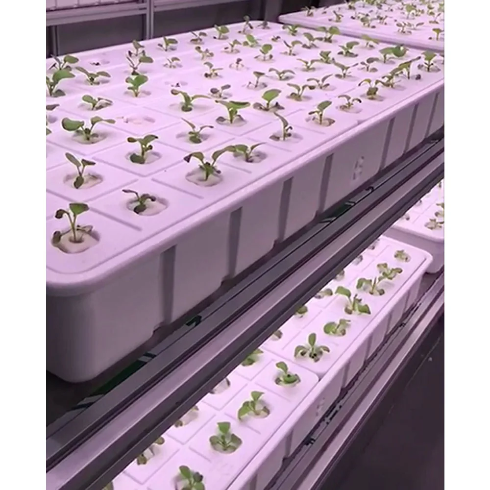 
ABS Vacuum Forming White Growing Plastic Nursery Tray Hydroponic Seeding Planting Plastic Tray 