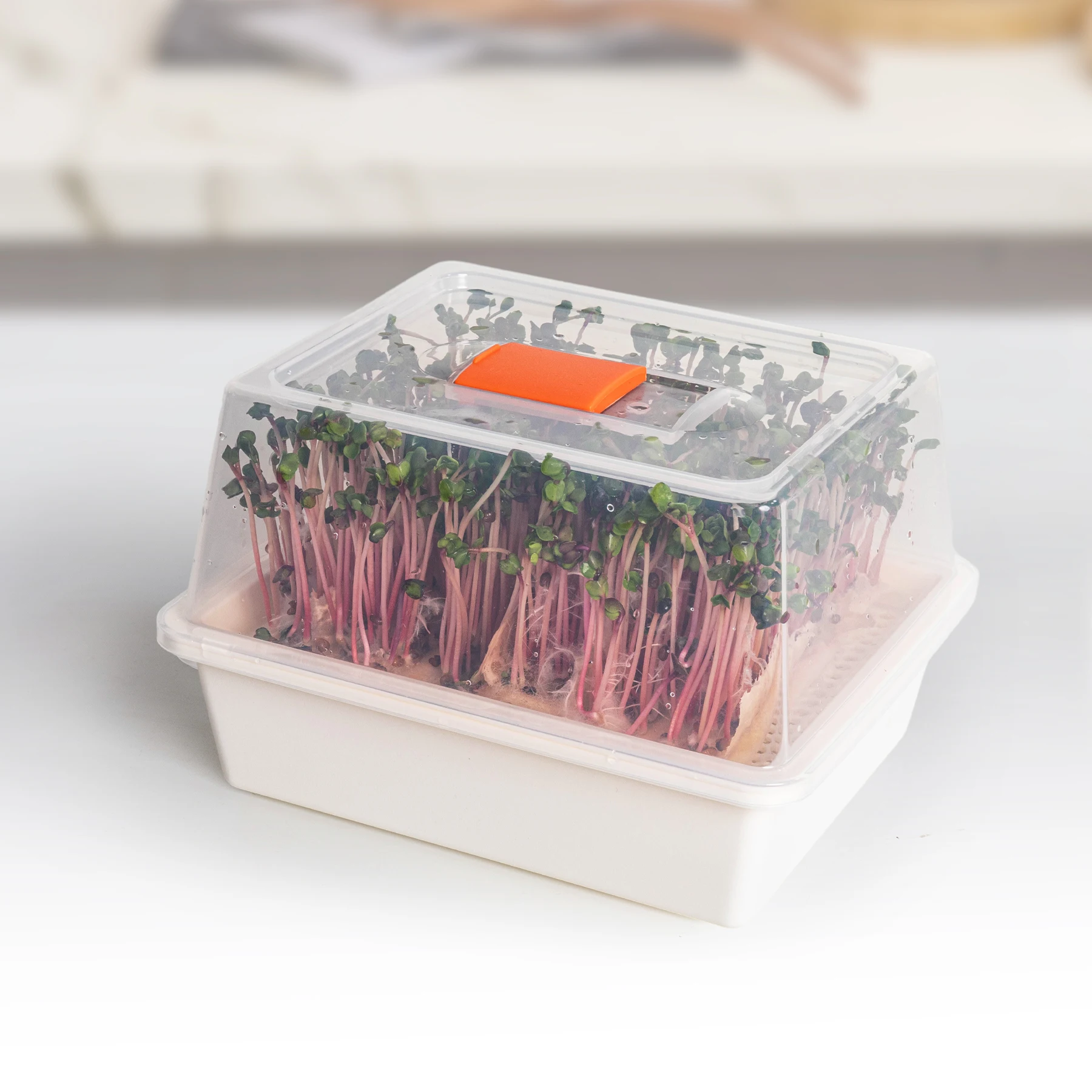 J&C Seed Sprouting Tray BPA Free Nursery Tray Microgreens Growing Trays Wheatgrass Grower Sprouting Container Seed Germination