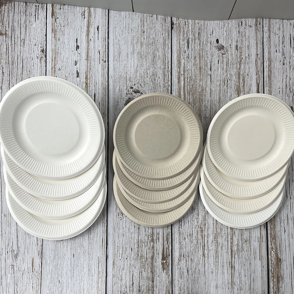 Paper Plates Biodegradable Plate Set Cheap Disposable  Plates Bulk Party Bagasse Food Container