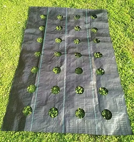 Plant protector weed mat, PP Woven Fabric Gardening Landscape,weed control mat geotextile fabric