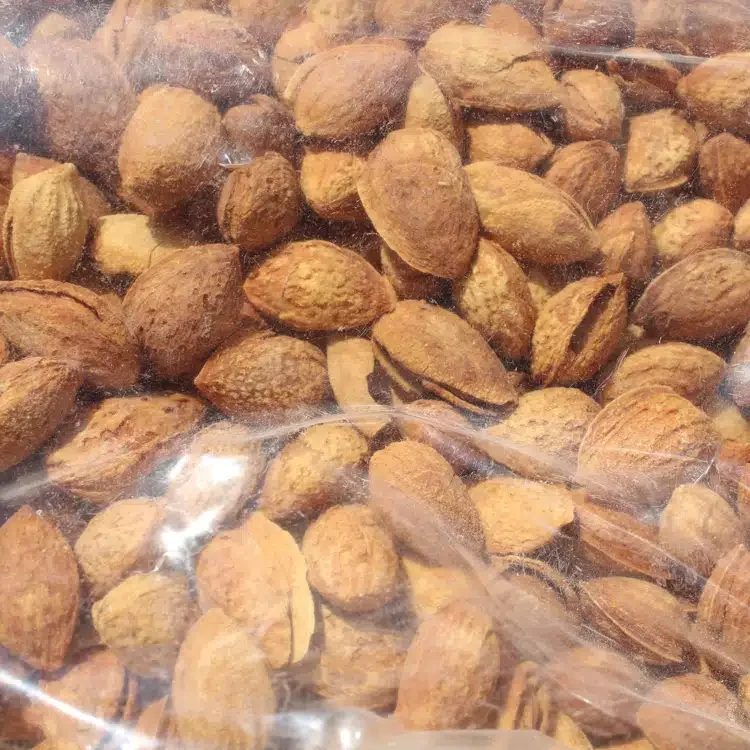 GEKO Best Selling Roasted and Salted Dried California Almond for Mixed Nuts