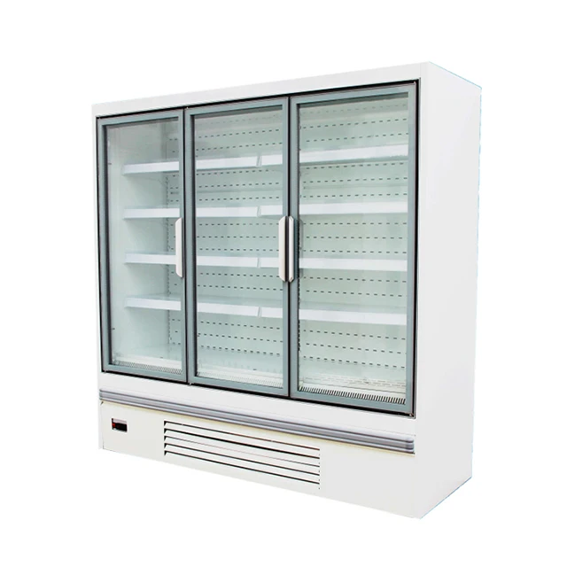 China Factory Outlet Commercial New Product Freezing Fruit Countertop Display Refrigerator