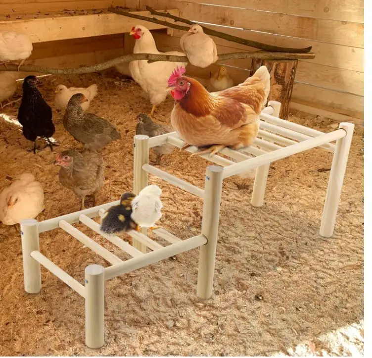 custom Chicken Perch Chicken Roosting Ladder Coop Roosting Bar Jungle Gym Chicken Toys for Hen Poultry
