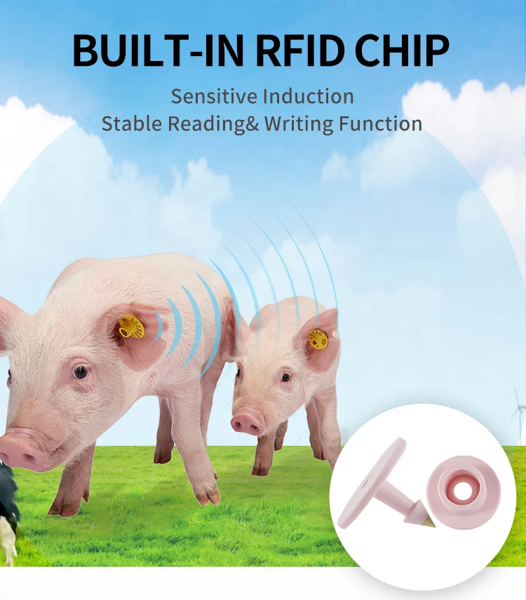 UHF002 Laser Printing TPU Material UHF RFID Strip Pig Sheep Ear Tag For  Farm Livestock Management