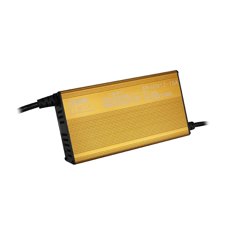 Wholesale Price Solar Power Generation Bettery Charger Auto Car Charger High Quality Lithium Battery Scooter Charger