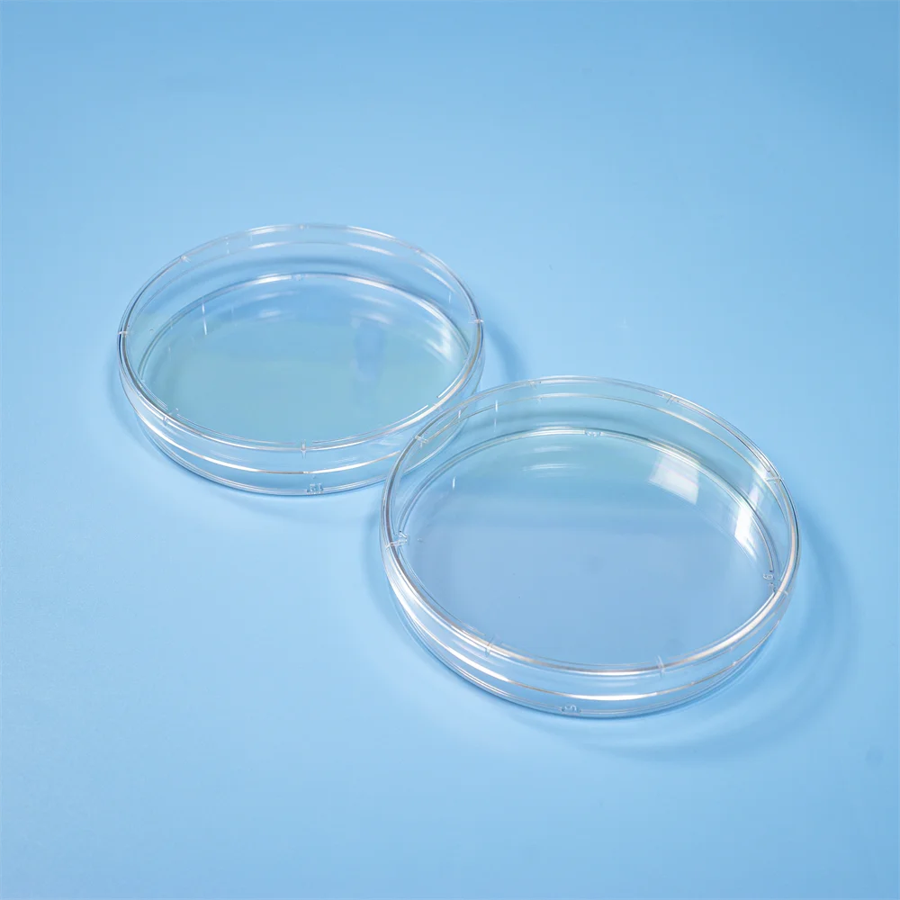 Laboratory Inoculation Polystyrene Petri Dish Plate 60mm for Cell Growth