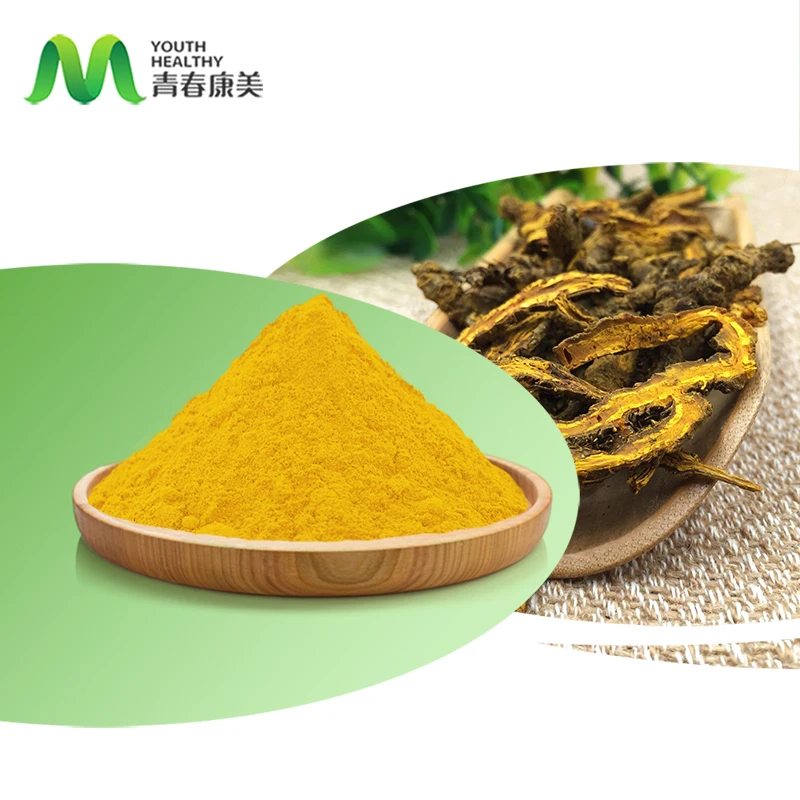 Youth Supply Powder Best Price Hydrochloride Berberine
