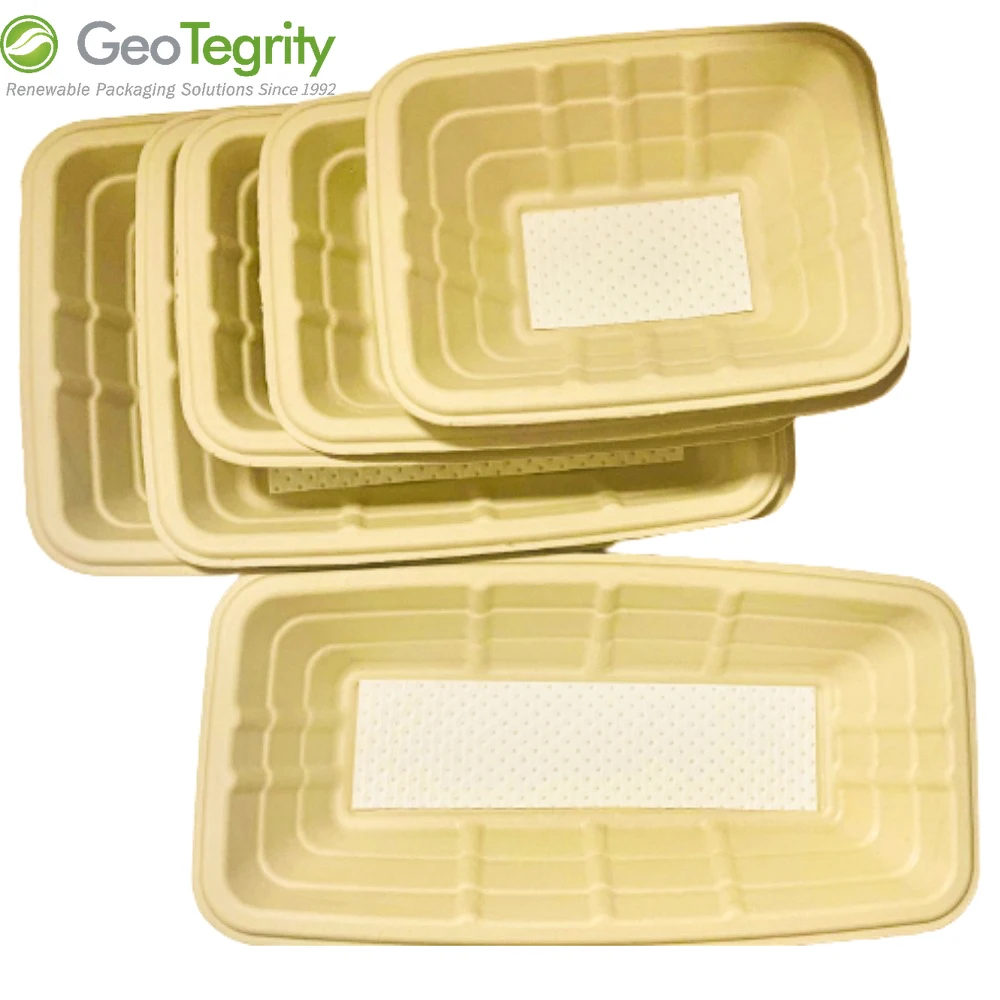 Wholesale Biodegradable Bagasse Pulp Square Food Container Meat Tray With Absorbent Pad
