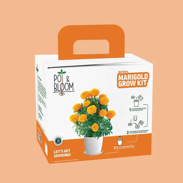 Grow Your Own Plant Kit Treasures Marigold Kit Flower Plantable For Garden Growing Kit