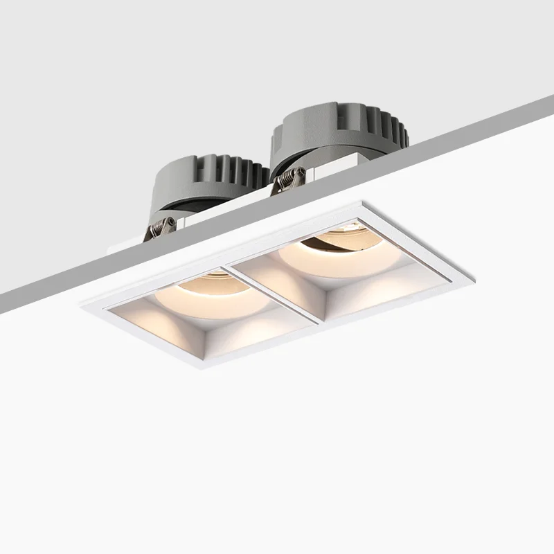 Double Heads Square LED Downlight 2*10W LED Recessed Adjustable Downlight Spotlight Square Downlight