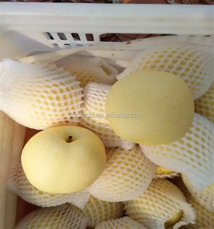 Китайские груши Ya pears