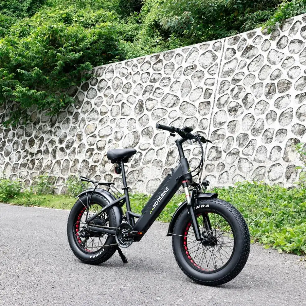 OEM/ODM e-bike 48v electric bike mountain bicycle fat tire e-bike for sale electric mountain bike full suspension