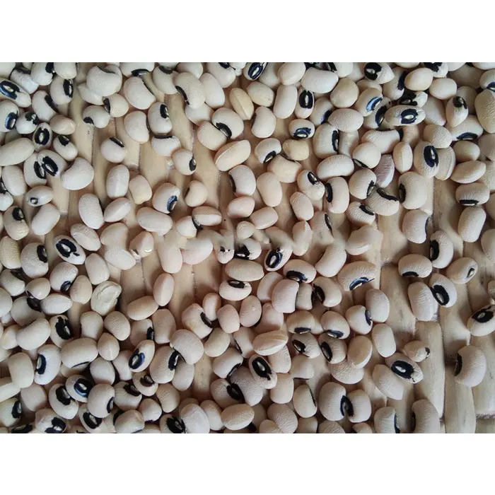 
soya black eye beans from Best offer buyers 